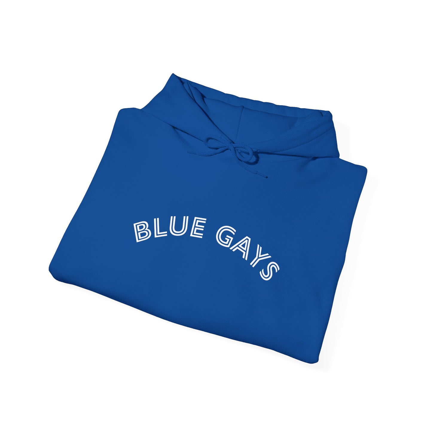 Blue Gays Hoodie