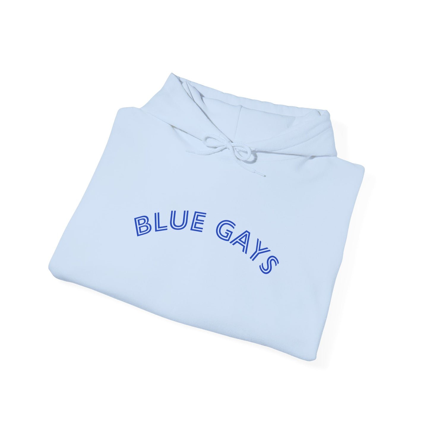 Blue Gays Hoodie