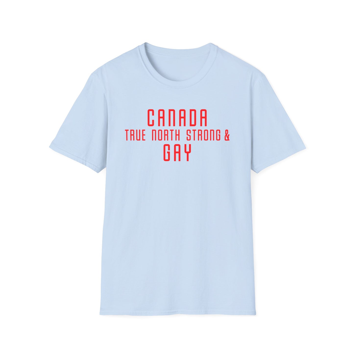 Canada True North Strong & Gay Tee