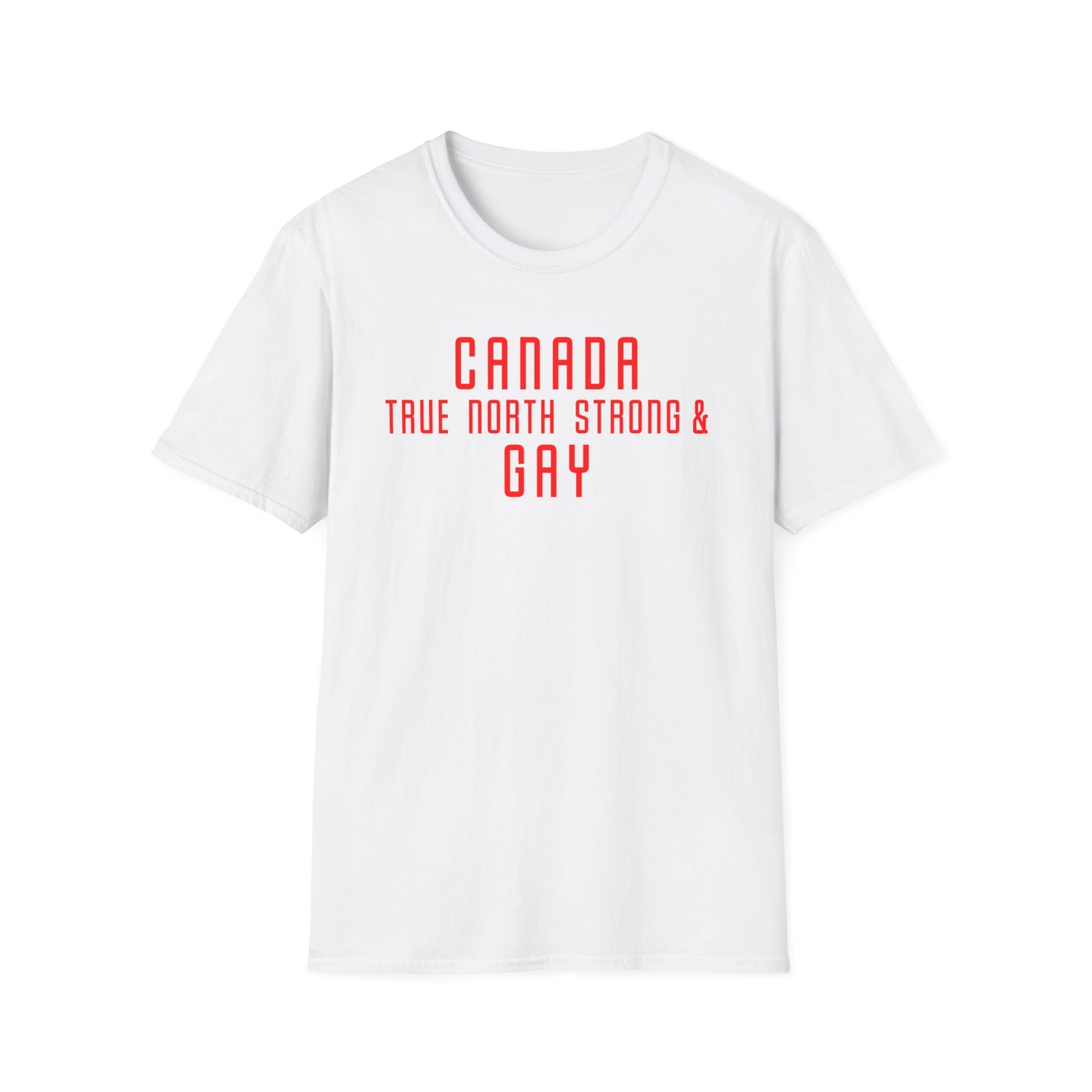 Canada True North Strong & Gay Tee