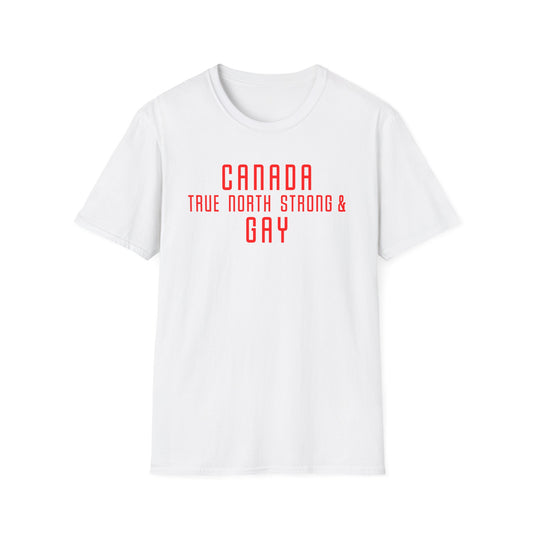 Canada True North Strong & Gay Tee