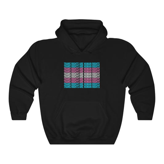 Trans Rights Flag Hoodie