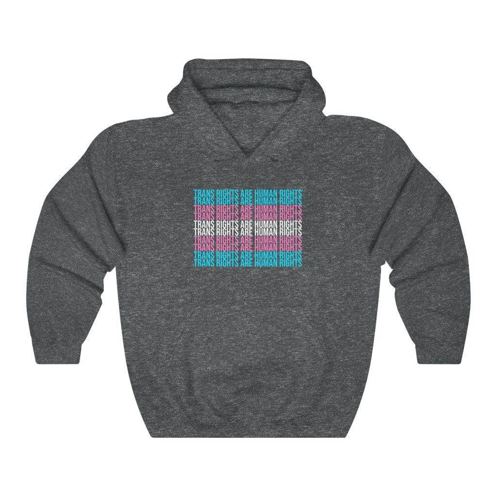 Trans Rights Flag Hoodie