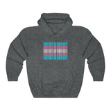 Trans Rights Flag Hoodie